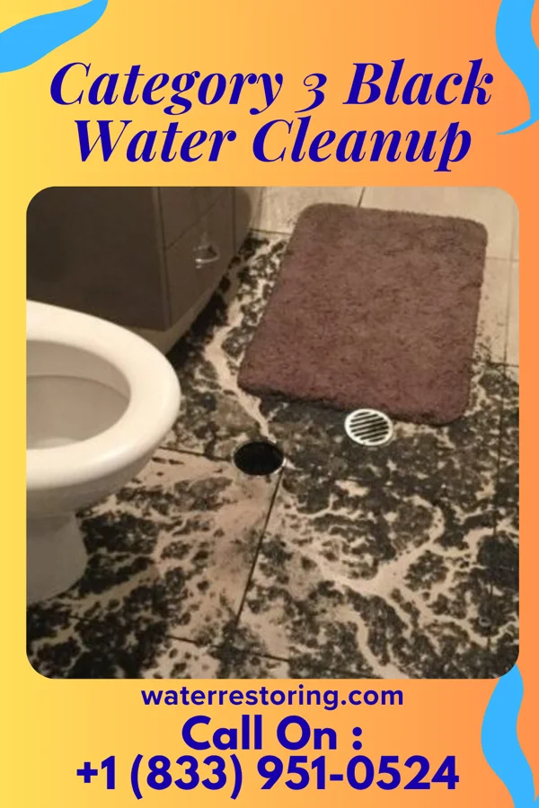 Category 3 Black Water Cleanup in Roberta, GA