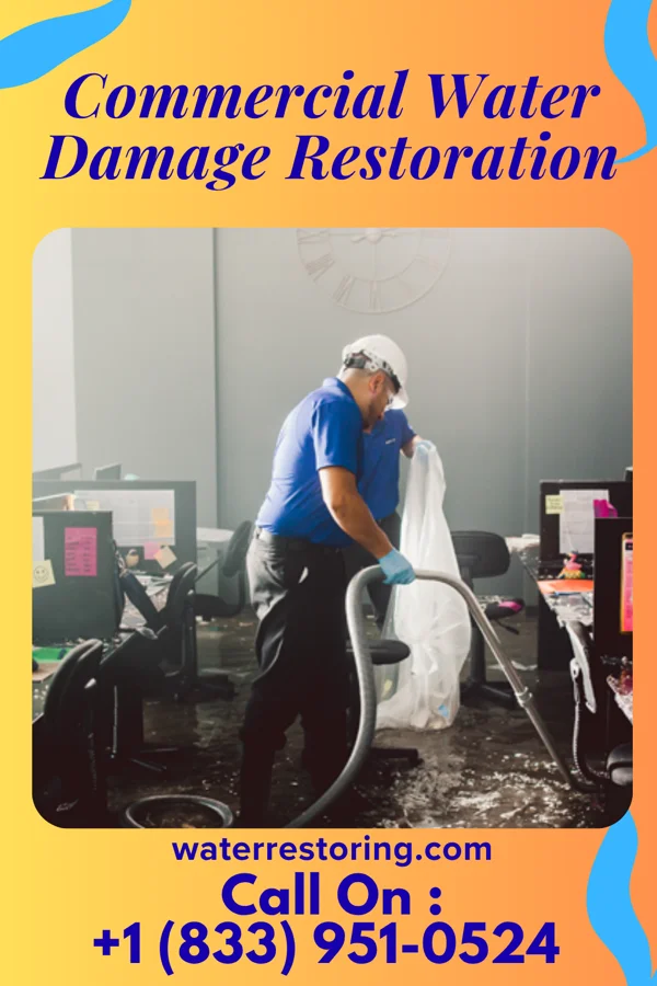 Commercial Water Damage Restoration in Roberta, GA