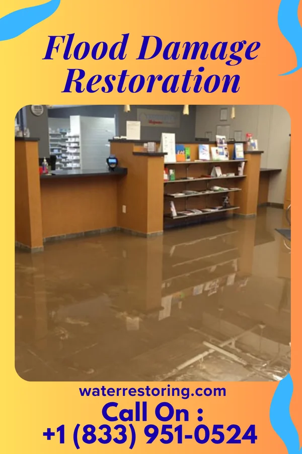 Flood Damage Restoration in Roberta, GA